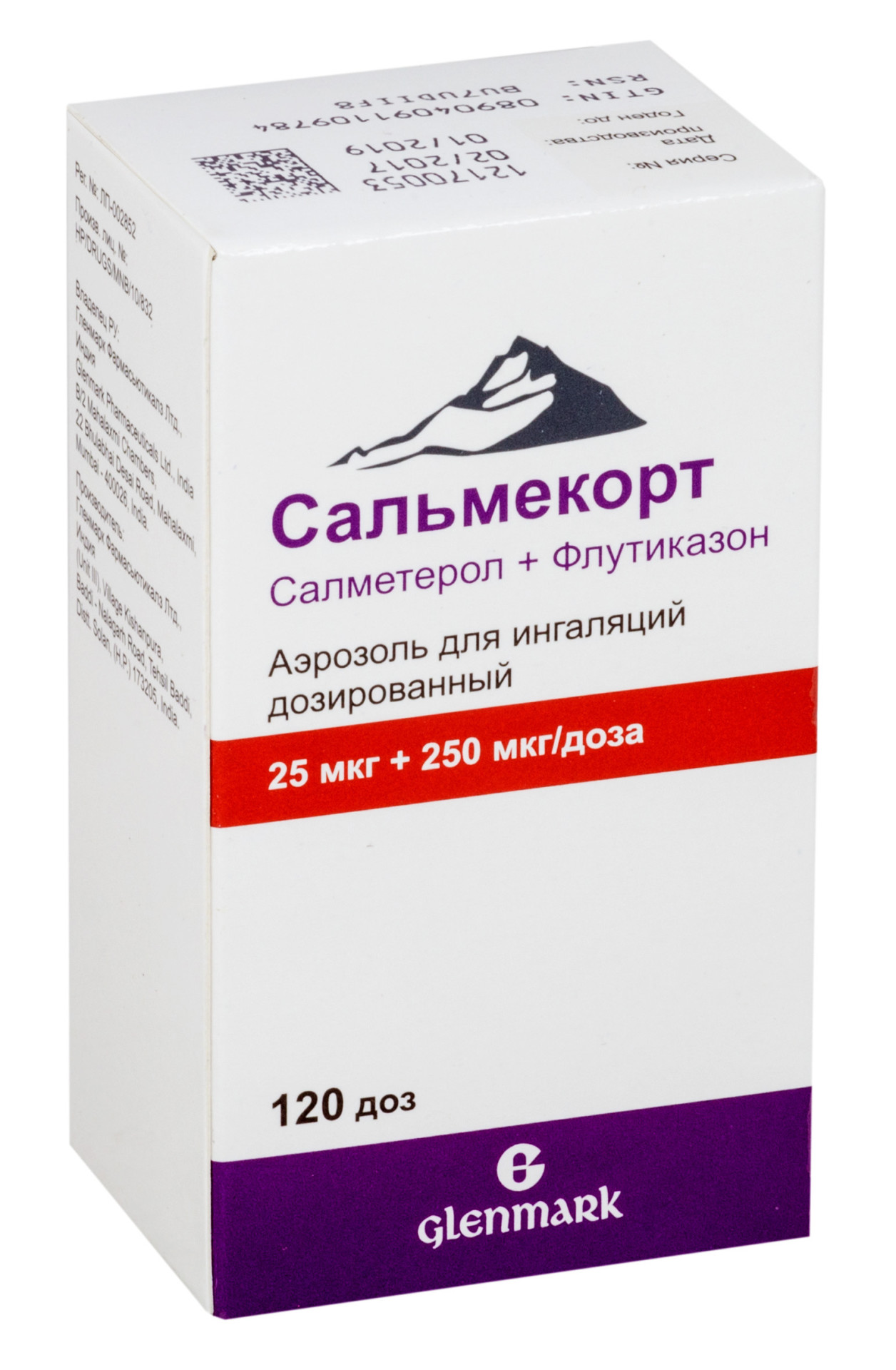 Сальмекорт аэрозоль для ингаляций 25мкг+250мкг/доза 120доз купить в Киришах  по цене от 1204 рублей