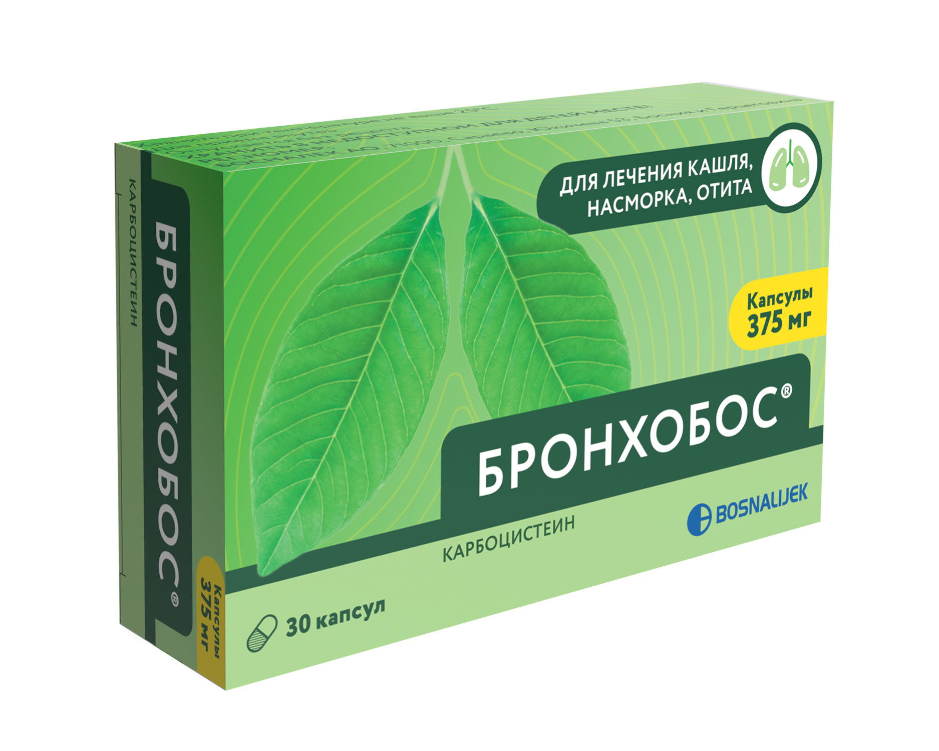 Бронхобос капсулы 375мг №30 купить в Кронштадте по цене от 464 рублей