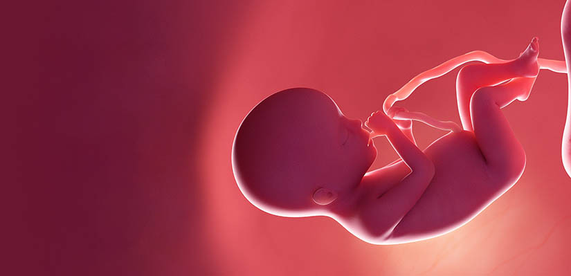 Болит яичник при беременности. Что это? - ответов на форуме вторсырье-м.рф ()