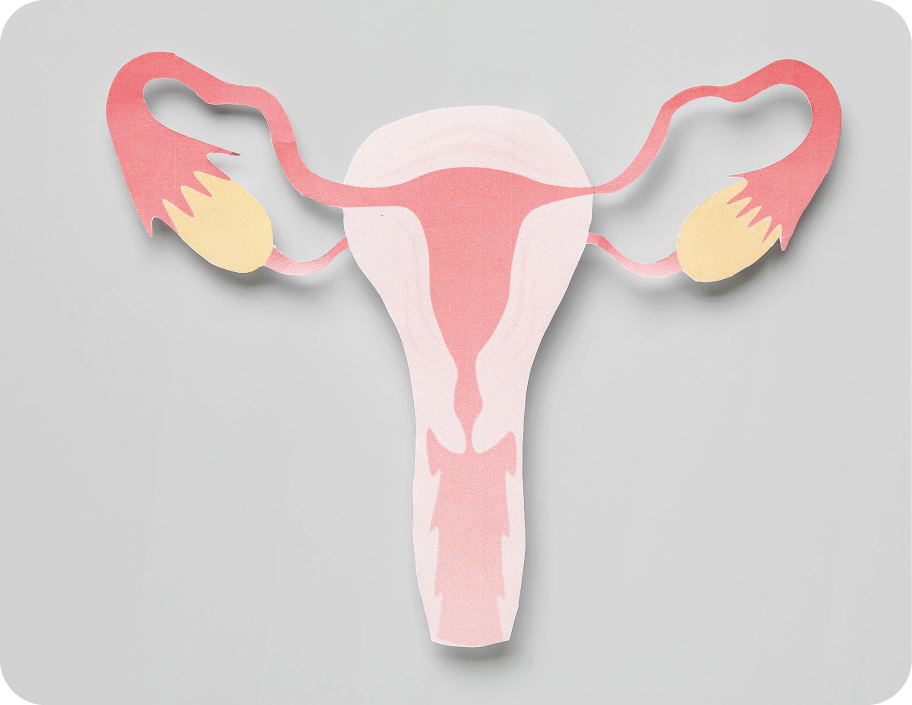 Рак шейки матки: как не пропустить болезнь