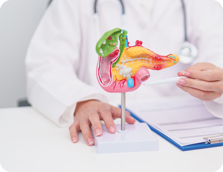 Панкреатит: что скрывается за внезапной болью в животе